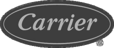 Carrier